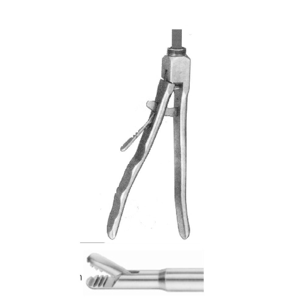 BÜYÜK PİKE AĞIZ FORSEPS ÇAP  10 MM